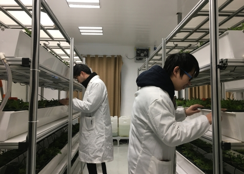 智能植物工厂浙江省工程研究中心